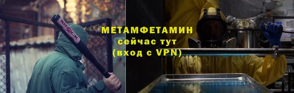 сатива Няндома