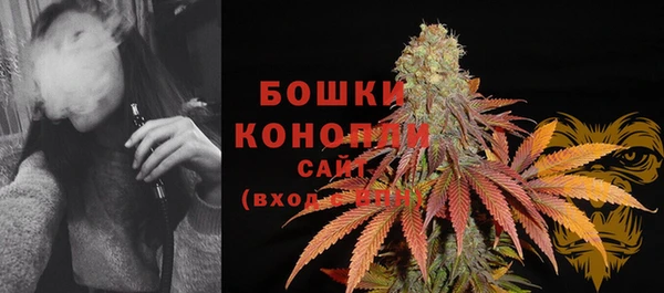 амф Осинники