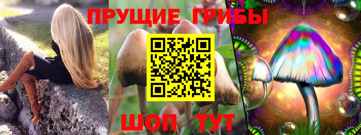 Галлюциногенные грибы GOLDEN TEACHER  цена   Балашов 